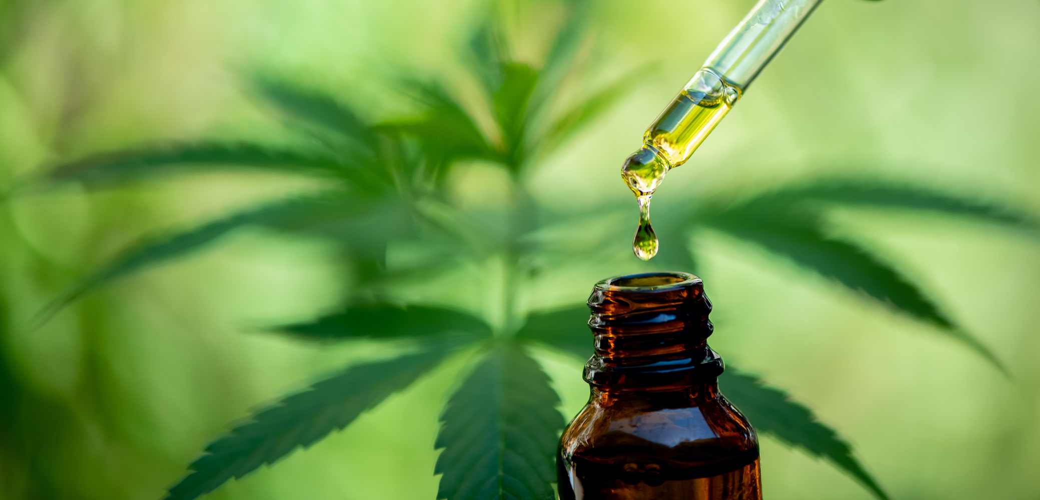 Vrai Ou Faux ? Cinq Choses à Savoir Sur Le CBD